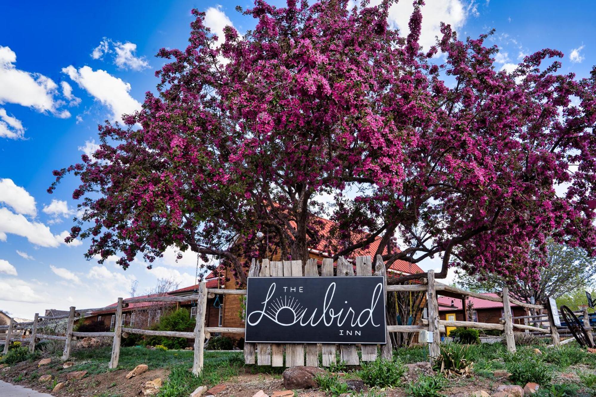 The Loubird Inn Escalante Exterior photo